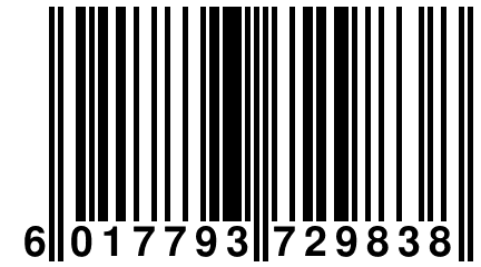 6 017793 729838