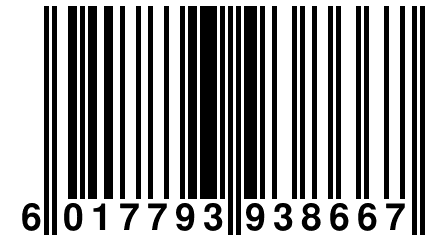 6 017793 938667