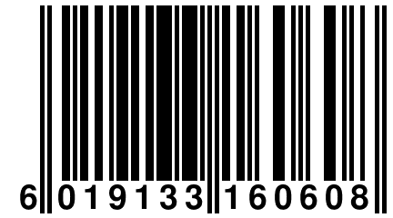 6 019133 160608