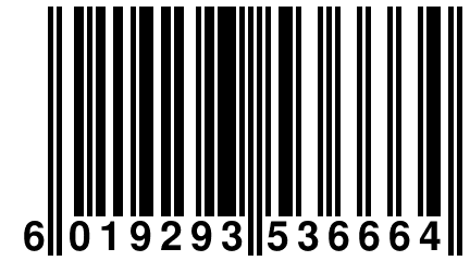 6 019293 536664