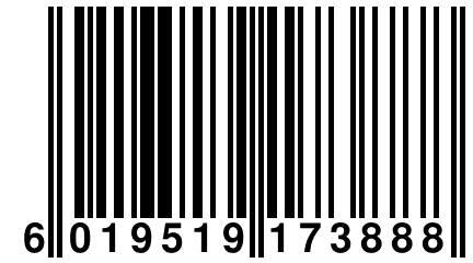 6 019519 173888