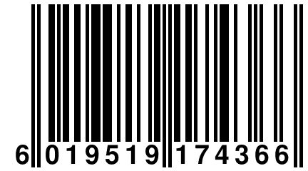 6 019519 174366