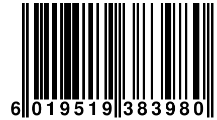 6 019519 383980