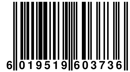 6 019519 603736