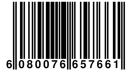 6 080076 657661