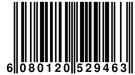 6 080120 529463