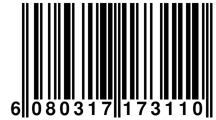 6 080317 173110