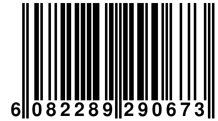 6 082289 290673