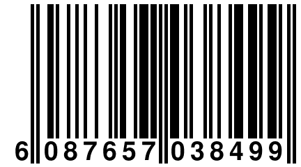 6 087657 038499