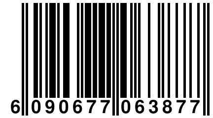 6 090677 063877