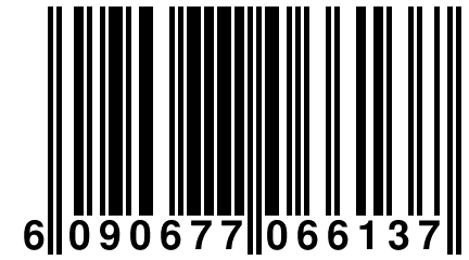 6 090677 066137