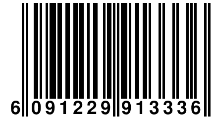 6 091229 913336