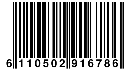 6 110502 916786