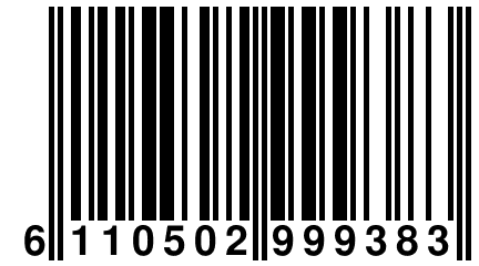 6 110502 999383