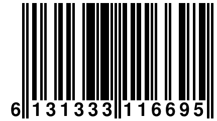 6 131333 116695