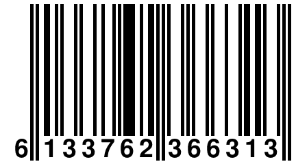 6 133762 366313