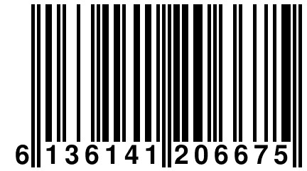 6 136141 206675