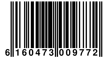 6 160473 009772