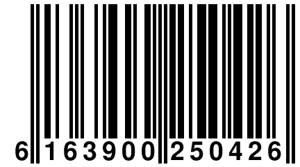 6 163900 250426