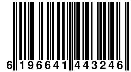 6 196641 443246