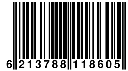 6 213788 118605