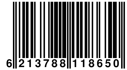 6 213788 118650