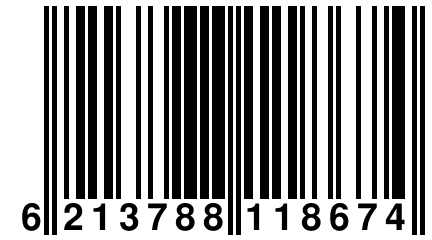 6 213788 118674