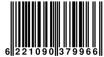 6 221090 379966