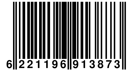 6 221196 913873