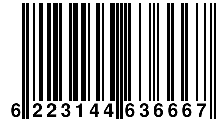 6 223144 636667