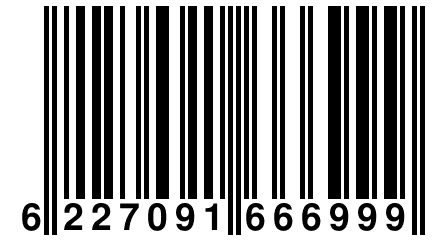 6 227091 666999