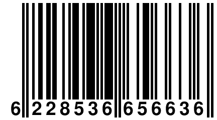 6 228536 656636