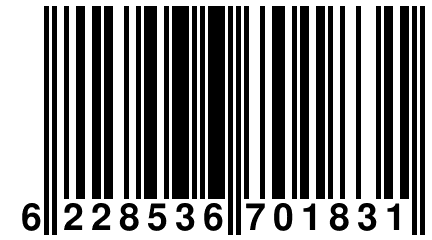 6 228536 701831