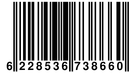 6 228536 738660