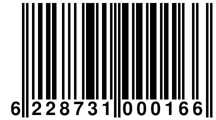 6 228731 000166