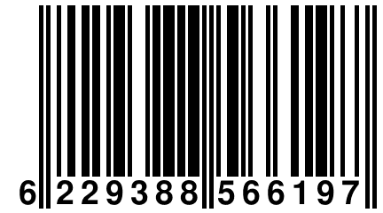 6 229388 566197