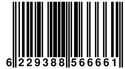 6 229388 566661