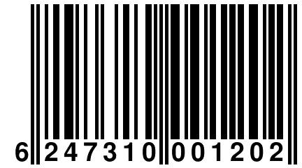 6 247310 001202