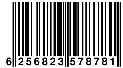 6 256823 578781