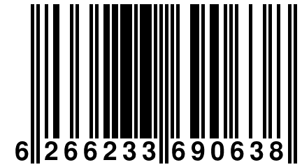 6 266233 690638