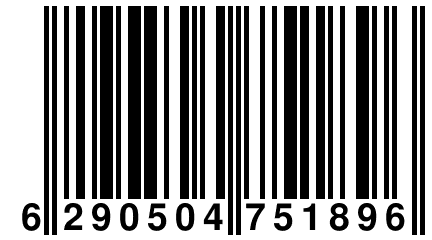 6 290504 751896