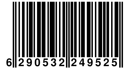 6 290532 249525