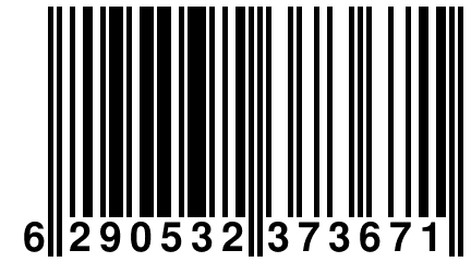 6 290532 373671