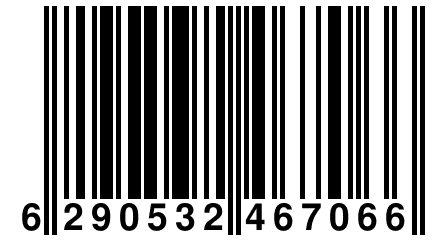 6 290532 467066