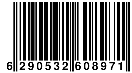 6 290532 608971