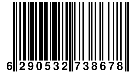 6 290532 738678