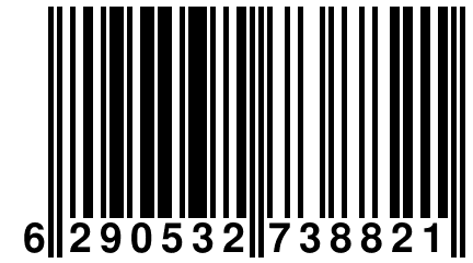 6 290532 738821