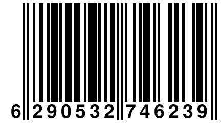 6 290532 746239