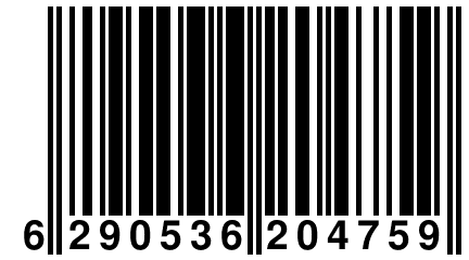 6 290536 204759