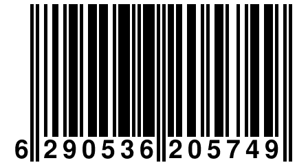 6 290536 205749